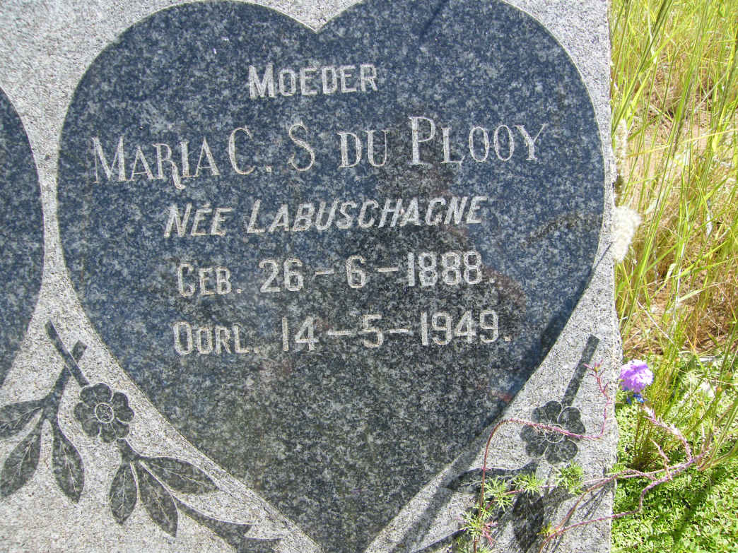 PLOOY Maria C.S., du nee LABUSCHAGNE 1888-1949