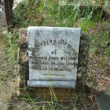 WILDING Norman John -1908