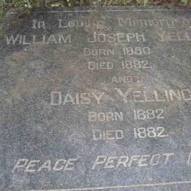 Y. Surnames starting with the letter Y