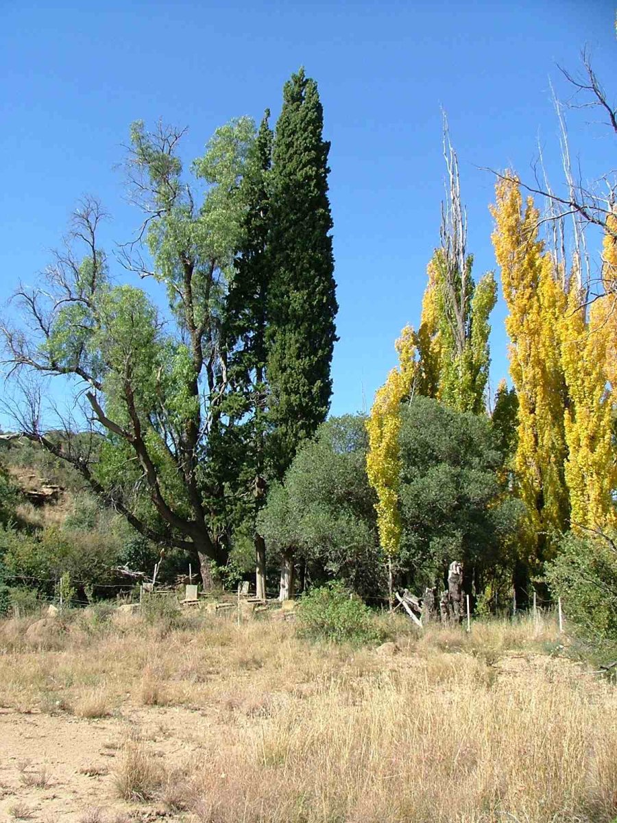 1. Bethulie Brakfontein