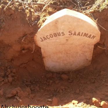 SAAIMAN Jacobus