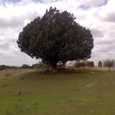 1. Overview of Cemetery
