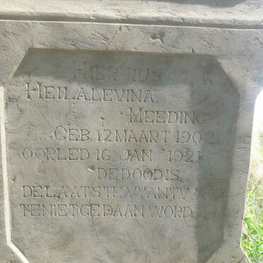 MEEDING Heila Levina 1902-1925