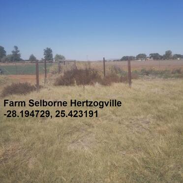 Free State, BOSHOF district, Hertzogville, Selborne 888, farm cemetery