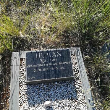 HUMAN 1961-1962