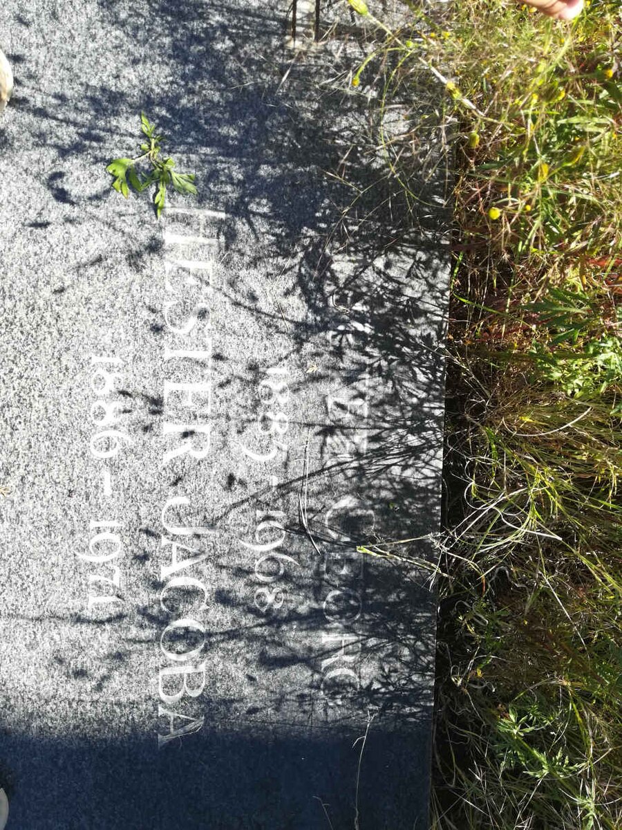 KOK Pieter George 1885-1968 &amp; Hester Jacoba 1886-1971