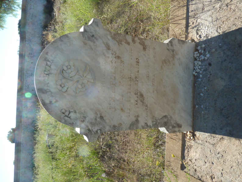 PLESSIS J M., du nee MOUTON 1818-1910