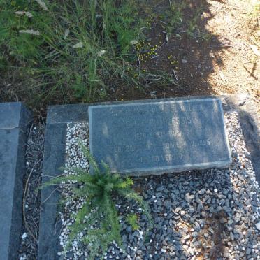 PLESSIS C.I.F., du nee PRETORIUS 1871-1955