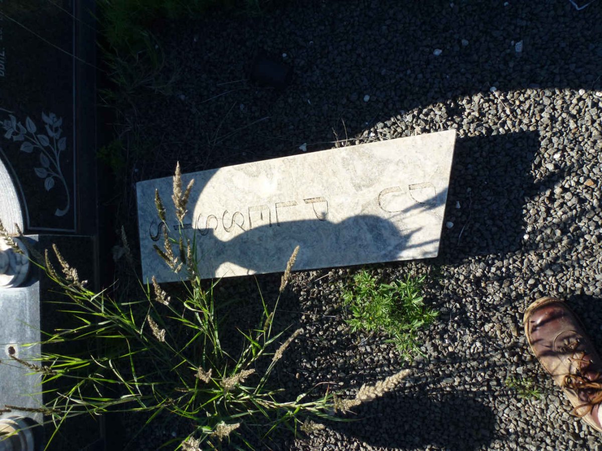 PLESSIS Reinier Jacobus, du 1905-1995 &amp; Anna Catharina 1919-200?