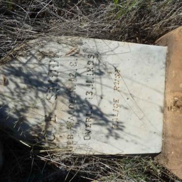 SMOOK C.E. nee WALDECK 1817-1899