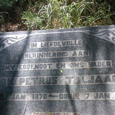 TALJAARD Dirk Petrus 1878-1944