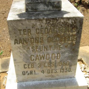 CAWOOD Seuntjie 1950-1950