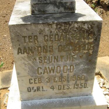 CAWOOD Seuntjie 1950-1950