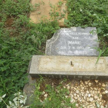 GROBLER Marie 1953-1953