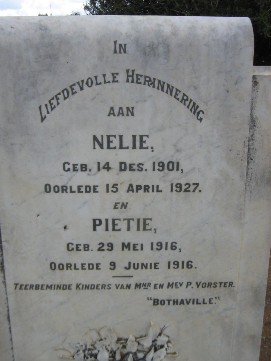 VORSTER Nelie 1901-1927 :: VORSTER Pietie 1916-1916