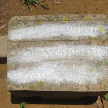 WHITE Jan J. 1868-1941