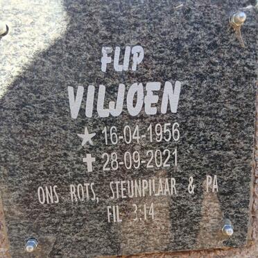 VILJOEN Flip 1956-2021