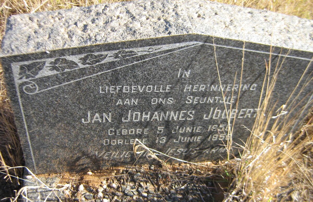 JOUBERT Jan Johannes 1956-1956