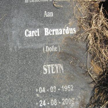 STEYN Carel Bernardus 1952-2009