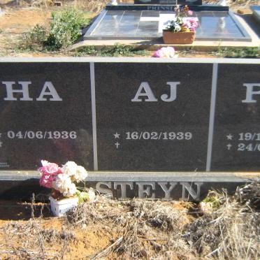 STEYN H.A. 1936- :: STEYN A.J. 1939- :: STEYN P.J.C. 1964-2008