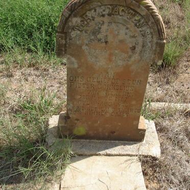 NIEKERK Pieter Cornelius, van 1917-1926