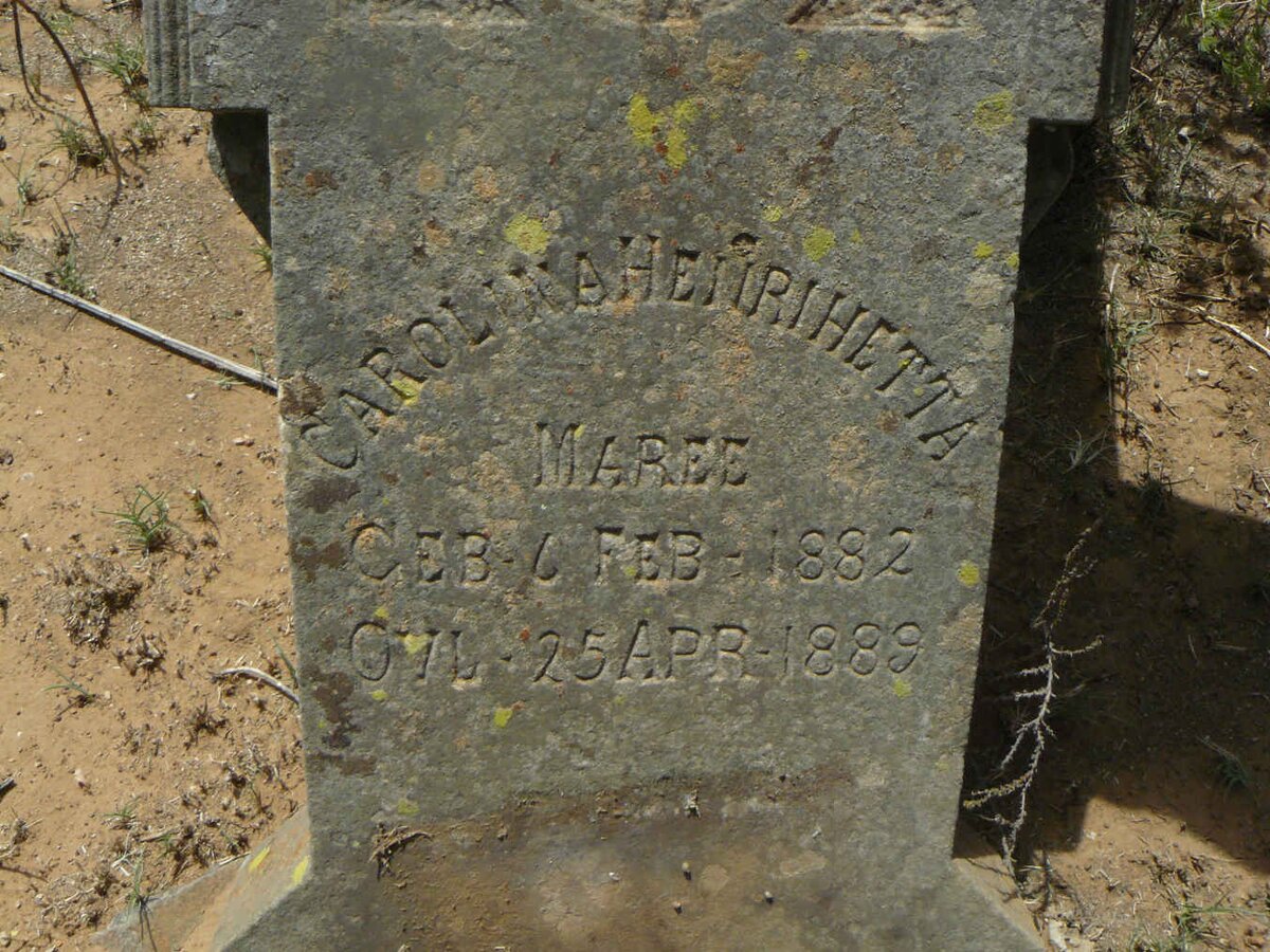 MAREE Carolina Henrihetta 1882-1889