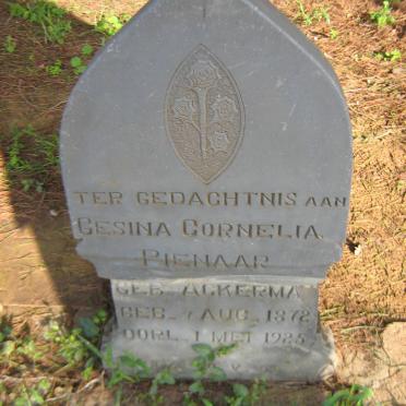 PIENAAR Gesina Cornelia nee ACKERMAN 1872-1925