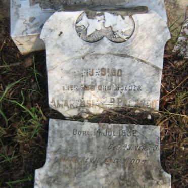 PRINSLOO Amarensia C.P. -1932