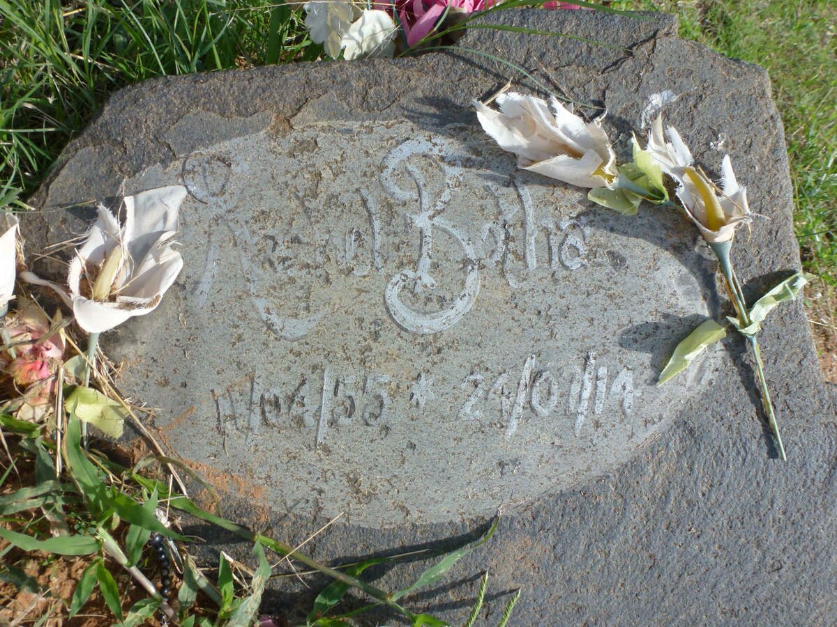 BOTHA R?el 1955-2014