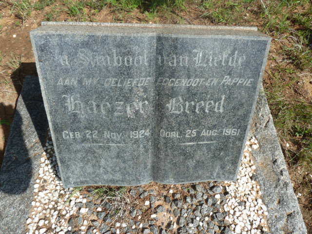 BREED Haezer 1924-1961