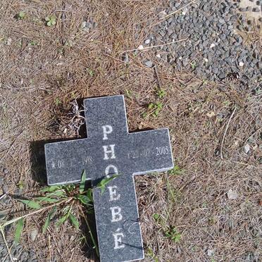 BRUWER Cornelis Adrian 1912-19?? &amp; Phoebe 1918-2005