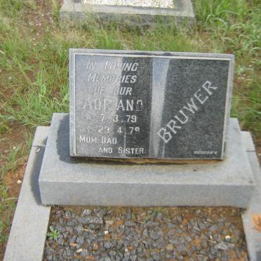 BRUWER Adriano 1979-1979