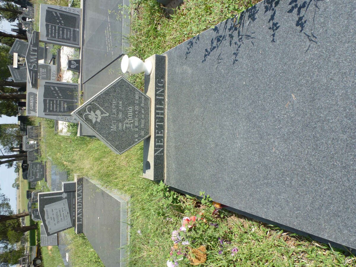 NEETHLING Riana 1958-1989