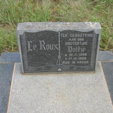 ROUX Dottie, le 1965-1966