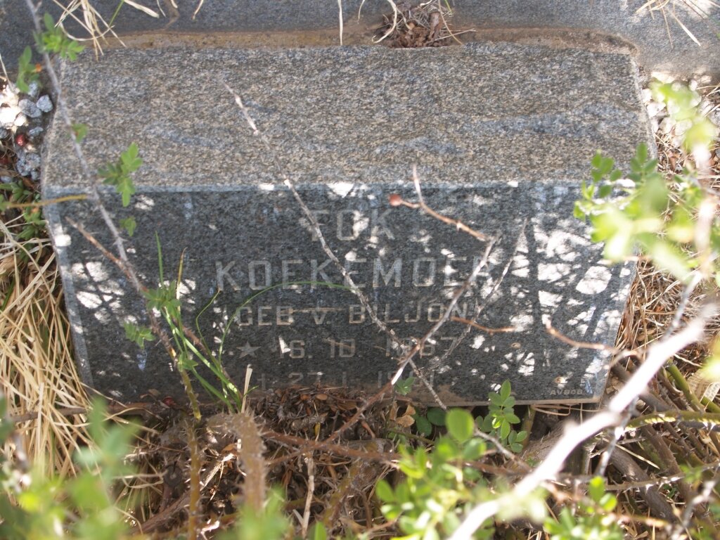 KOEKEMOER Tok nee VAN BILJON 1887-1961