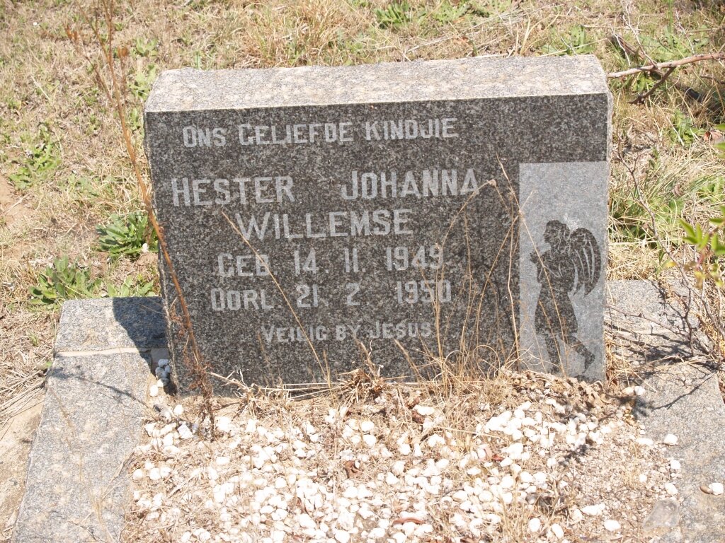 WILLEMSE Hester Johanna 1949-1950