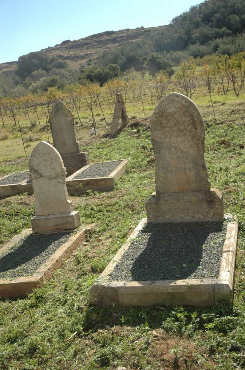 1.  Overview / Oorsig