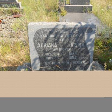 OBERHOLZER Adriana Josina nee VAN ROOYEN 1880-1959