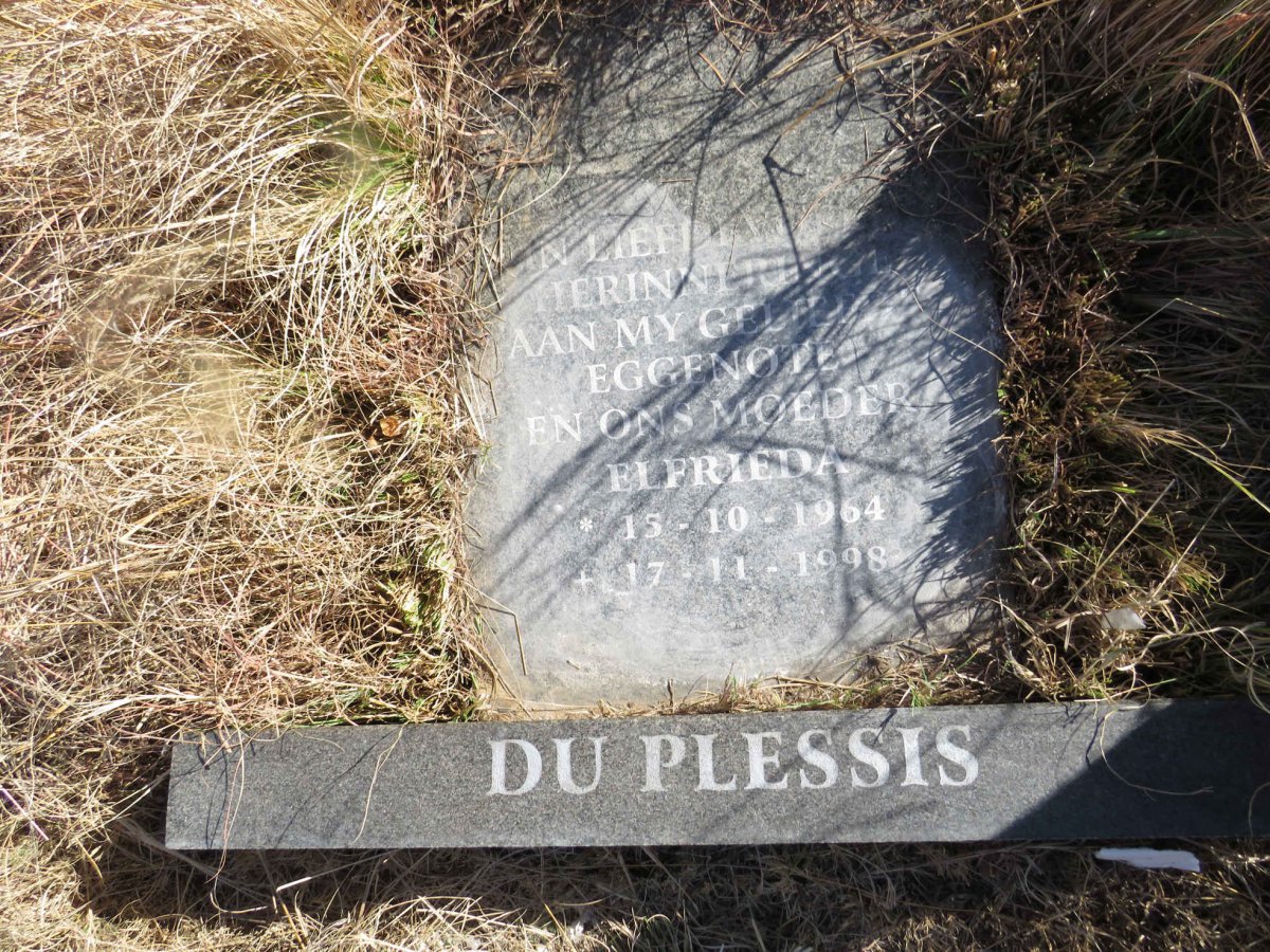 PLESSIS Elfrieda, du 1964-1998