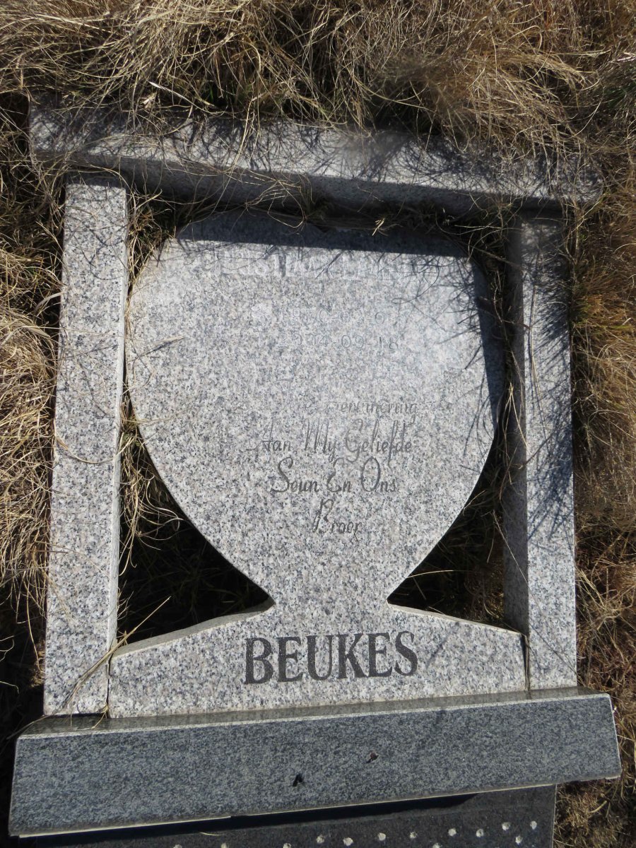 BEUKES Christiaan Lambert 1970-2004