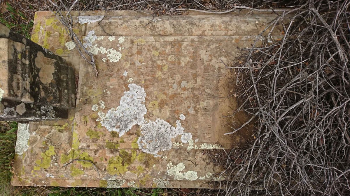 KOTZEE Maria Helena nee LUBBE 1854-1897