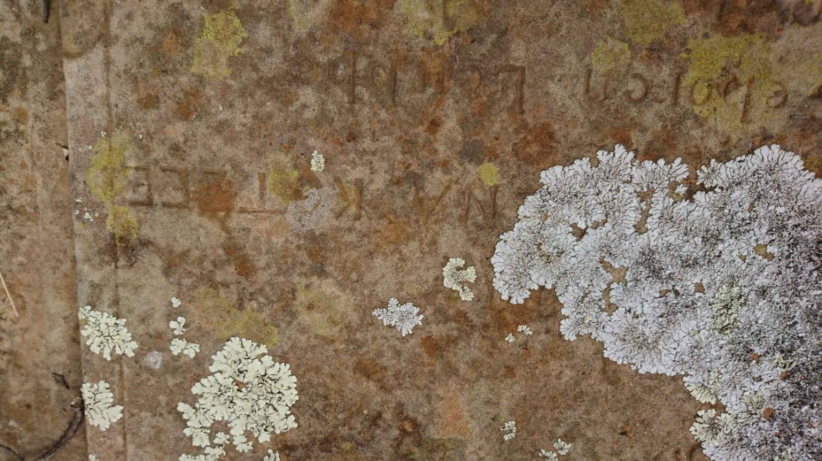 KOTZEE Maria Helena nee LUBBE 1854-1897