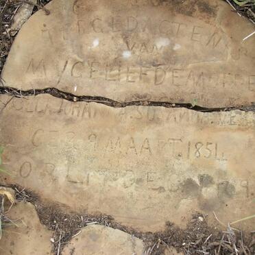 ? Isabella Johanna Susanna 1854-?