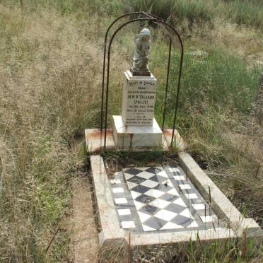 TALJAARD M.W.S. 1905-1912