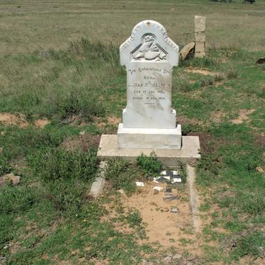 Free State, DEWETSDORP district, Unknown farm cemetery 15