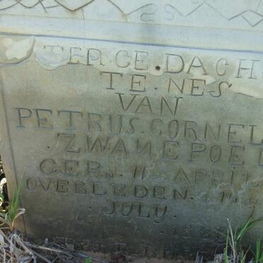 ZWANEPOEL Petrus Cornelis 1823-1889