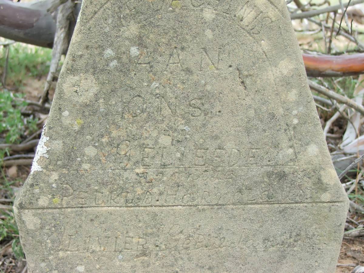 OLIVIER Petrus Hermanus 