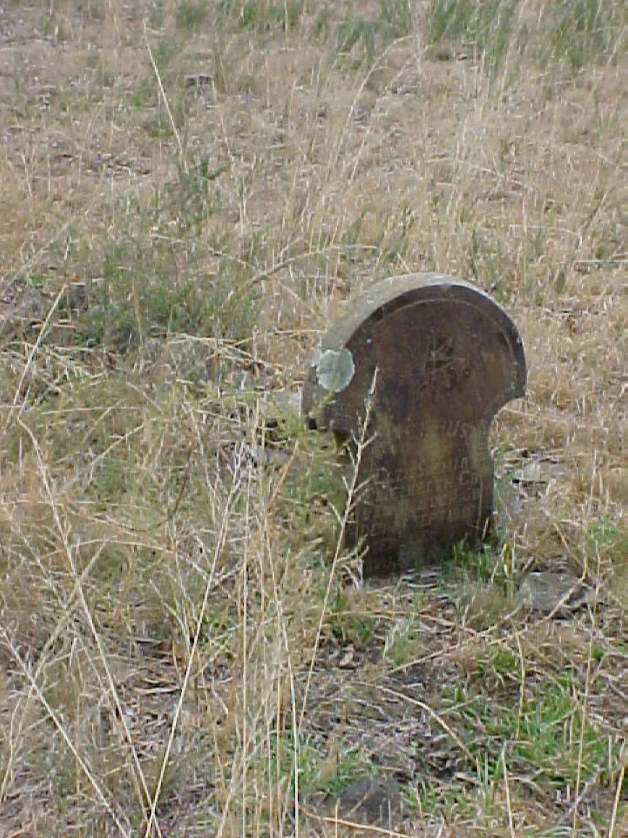 ? Elzie Sophia Elizabeth nee VAN TONDER 1857-1907