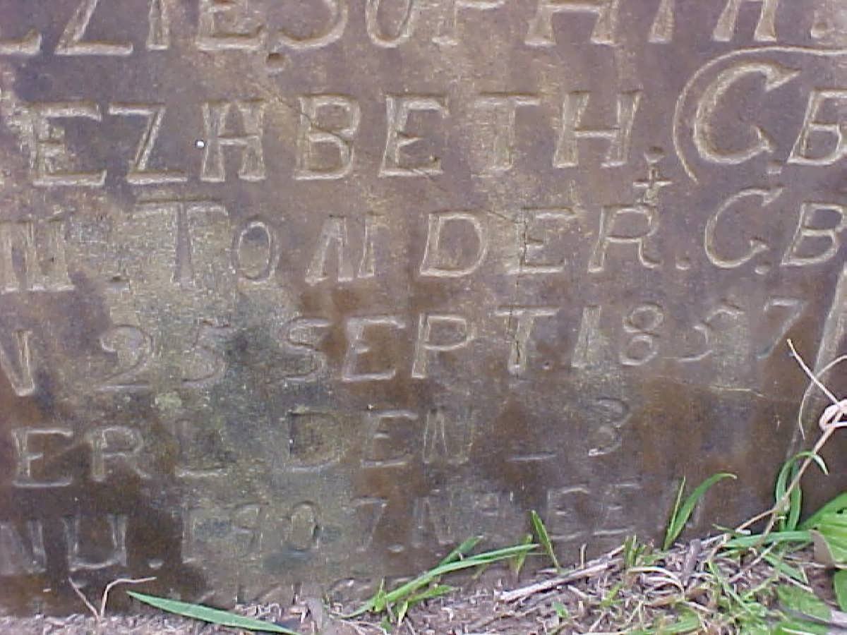 ? Elzie Sophia Elizabeth nee VAN TONDER 1857-1907