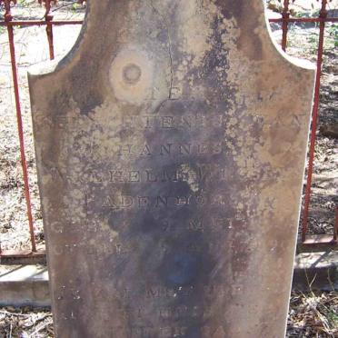 BADENHORST Johannes Wilhelm W. -1890